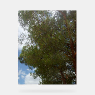 Señal Acrílica DISEÑO DE FOTOGRAFÍAS DE Rótulo acrílico