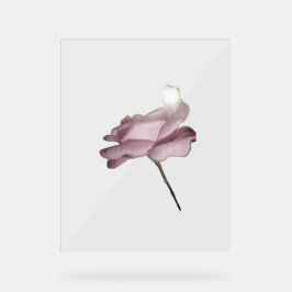 SEÑAL ACRÍLICA DISEÑO DE ROSA DE RÓTULO ACRÍLICO