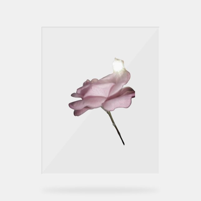 SEÑAL ACRÍLICA DISEÑO DE ROSA DE RÓTULO ACRÍLICO (Anverso)