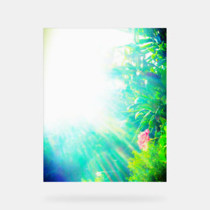 SEÑAL ACRÍLICA DISEÑO DE ROSA DE RÓTULO ACRÍLICO