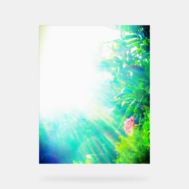 SEÑAL ACRÍLICA DISEÑO DE ROSA DE RÓTULO ACRÍLICO (Anverso)