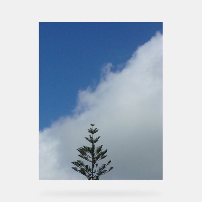 Señal Acrílica Diseño de Rótulo acrílico estilo cielo azul (Anverso)