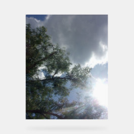 Señal Acrílica diseño de señaligen acrílico estilo cielos azules