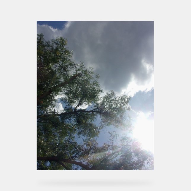 Señal Acrílica diseño de señaligen acrílico estilo cielos azules (Anverso)