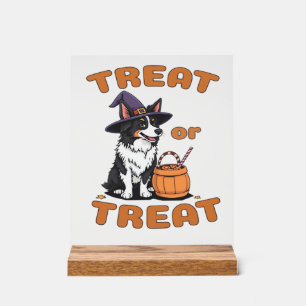 Señal Acrílica Disfraz de perro de Halloween Border Collie �Dulce