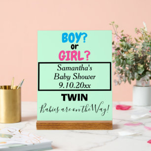 Señal Acrílica Doble ducha de bebé rosa azul futura mamá NOMBRE V
