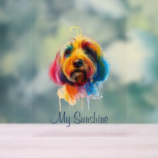 Señal Acrílica Doodle colorido (Neutral )