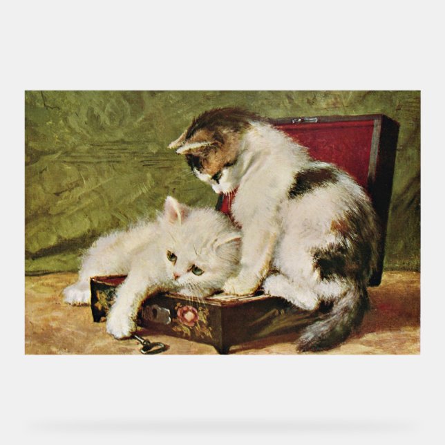 Señal Acrílica Dos gatitos juguetones (Anverso)