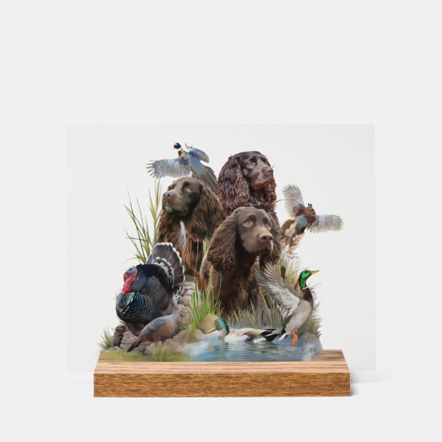 Señal Acrílica El Boykin Spaniel (Anverso)