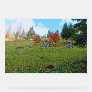 Señal Acrílica El Prado de Montaña - Naturaleza Salvaje Rumania