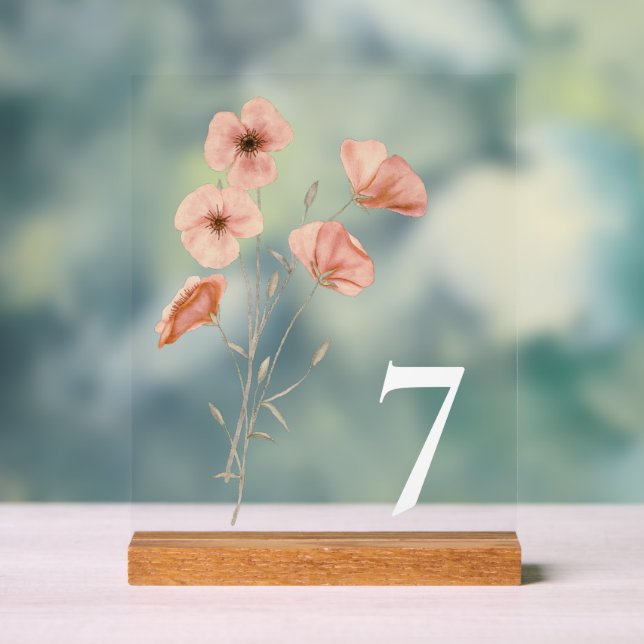 Señal Acrílica Elegante Naranja Poppy Meadow (Neutral )