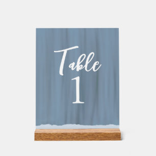 Señal Acrílica Elegante número de mesa Boda de pizarra azul pinta