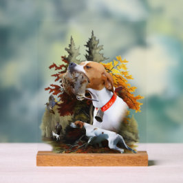 Señal Acrílica English Pointer