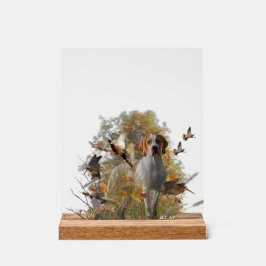 Señal Acrílica English Pointer