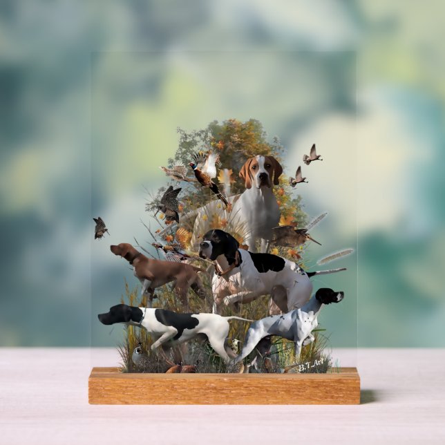 Señal Acrílica English Pointer  (Neutral )