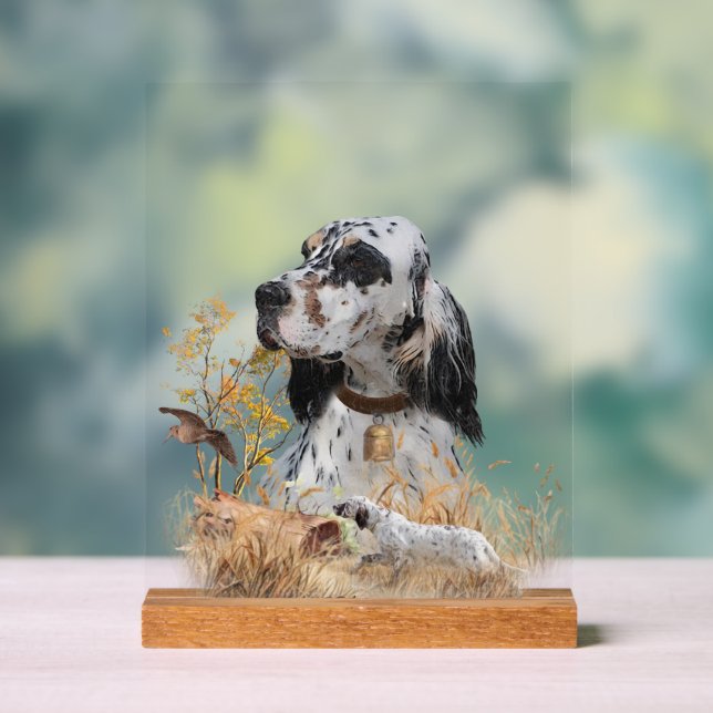 Señal Acrílica English Setter  (Neutral )