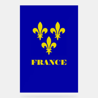 Señal Acrílica Estandarte Real Francés Medieval Fidelidad Heráldi