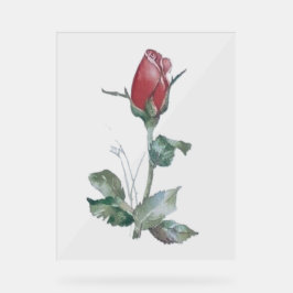 Señal Acrílica ESTILO BUD DE DISEÑO DE ROSA DE Rótulo acrílico