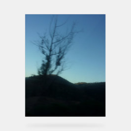 Señal Acrílica ESTILO DE DISEÑO DE ARTE DE Rótulo acrílico