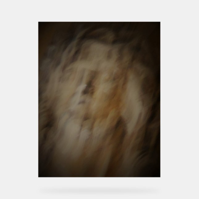 Señal Acrílica ESTILO DE DISEÑO DE ARTE DE Rótulo acrílico (Anverso)