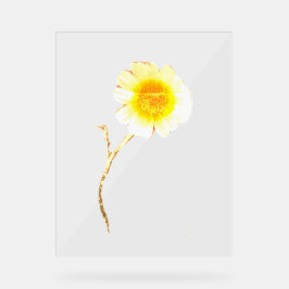 Señal Acrílica ESTILO DE DISEÑO DE ARTE DE Rótulo acrílico