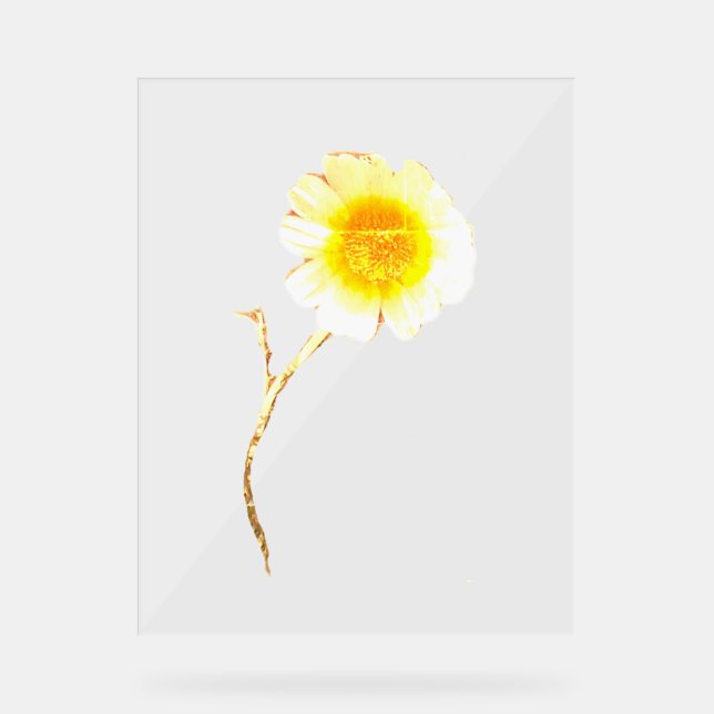 Señal Acrílica ESTILO DE DISEÑO DE ARTE DE Rótulo acrílico (Anverso)