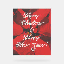 Feliz Navidad y Feliz Año Nuevo