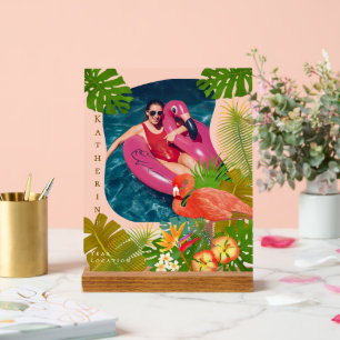 Señal Acrílica Flamingo Foto Rótulo acrílico tropical