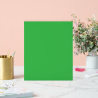 fondo verde con borde blanco