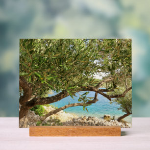 Señal Acrílica Foto de Olive Tree en el mar Mediterráneo