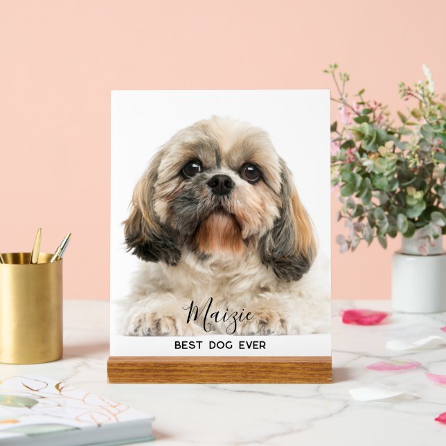 Señal Acrílica Foto de perro Mascota personalizada Shih Tzu Mom (Boda)