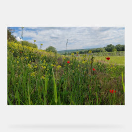 Señal Acrílica Fotografía de primavera a orillas del río