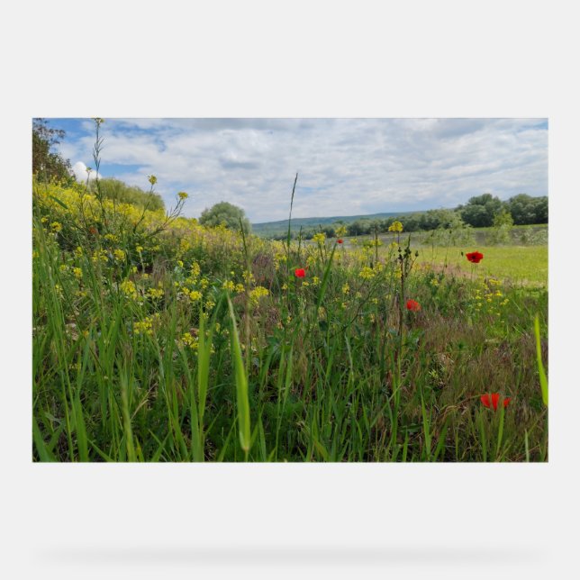 Señal Acrílica Fotografía de primavera a orillas del río (Anverso)