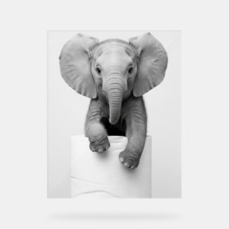 Señal Acrílica Funny Aesthetic Baby Elephant ToiletPaper Wildlife
