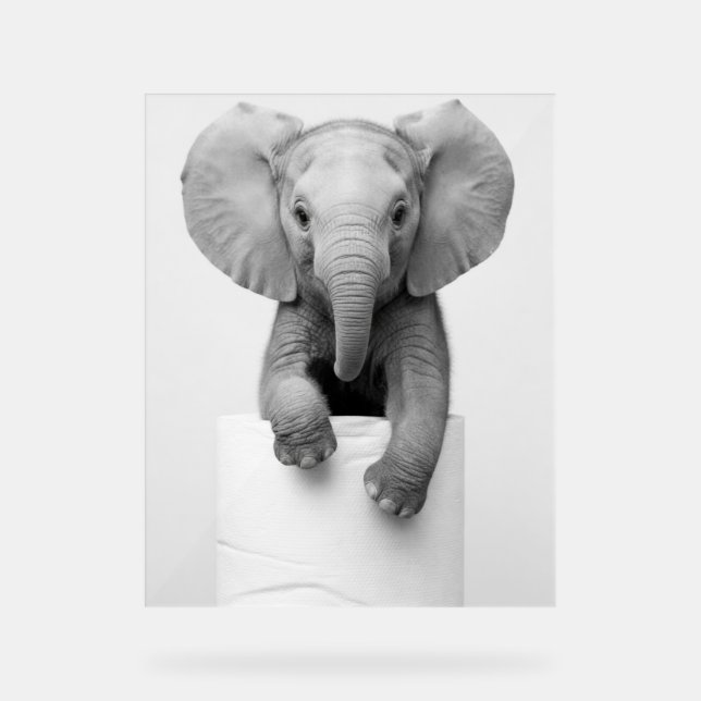 Señal Acrílica Funny Aesthetic Baby Elephant ToiletPaper Wildlife (Anverso)