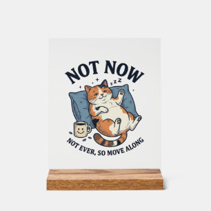 Señal Acrílica Gato Perezoso No Ahora Grabado Vintage Diseño Dive