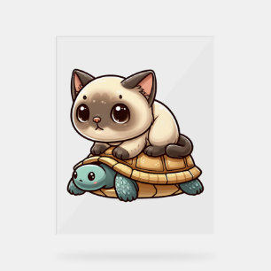 Señal Acrílica Gato siamés monta una tortuga