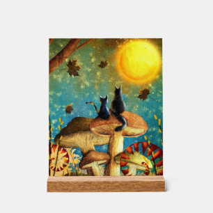 Señal Acrílica Gatos de champiñón