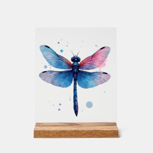 Señal Acrílica Hermoso Patrón Gráfico Colorido Naturaleza Libélul