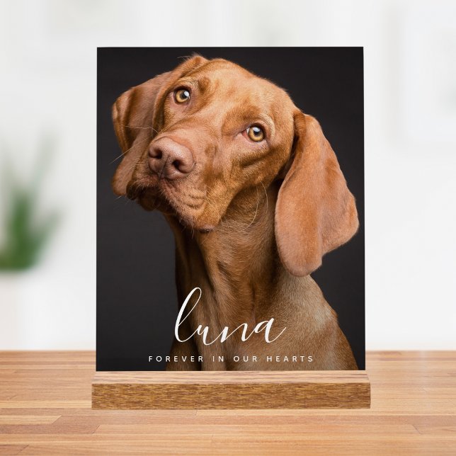 Señal Acrílica Homenaje a memoria de mascota (Pet Photo Memorial Sign)