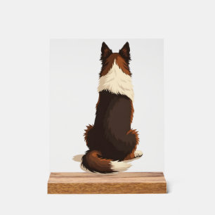 Señal Acrílica Ilustración de perro vintage Border Collie desde a