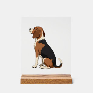 Señal Acrílica Ilustración de vista trasera de perro Beagle vinta