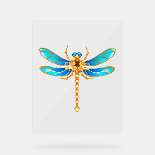Señal Acrílica Imagen vectorial divertida de libélula insecto vip (Anverso)