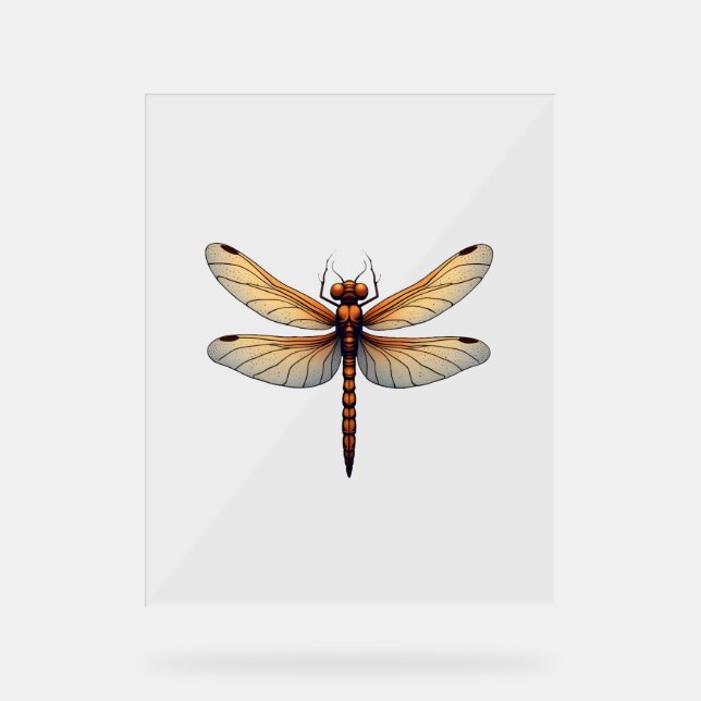 Señal Acrílica Impresionante disfraz de libélula para niños y Chi (Anverso)