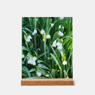 Señal Acrílica In the Garden...