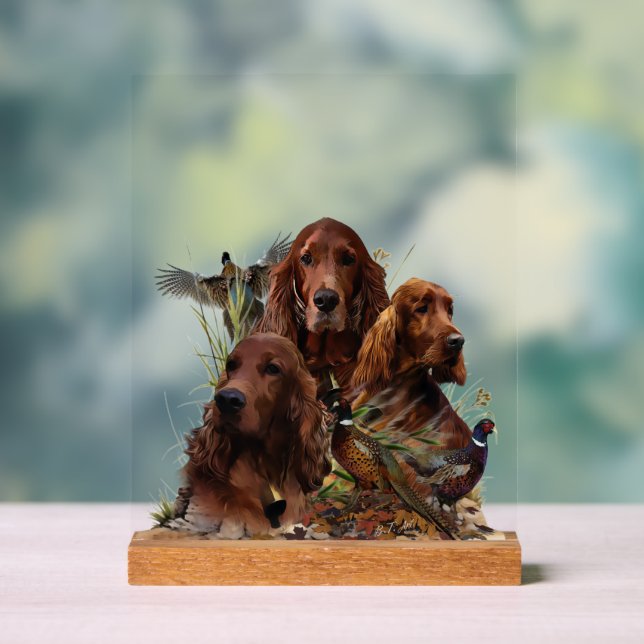 Señal Acrílica  Irish  Setter (Neutral )