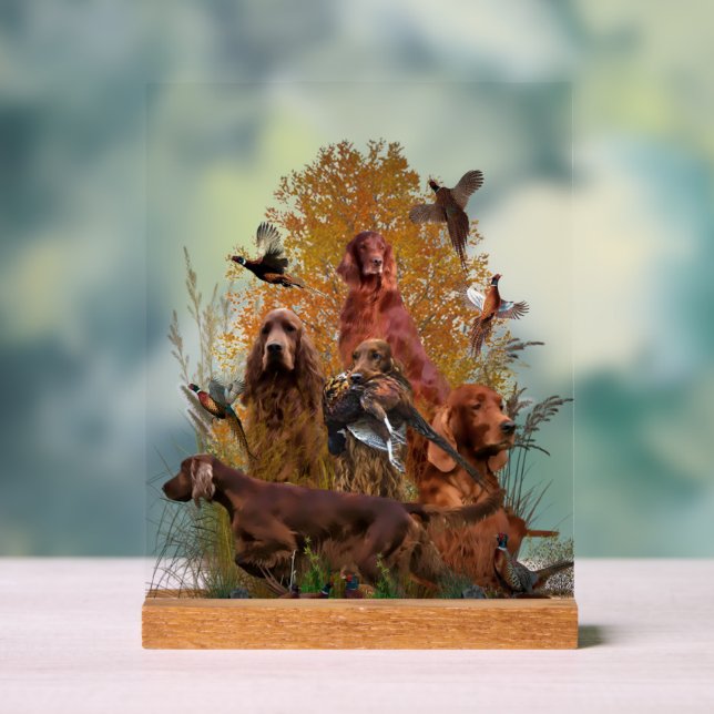 Señal Acrílica  Irish  Setter (Neutral )