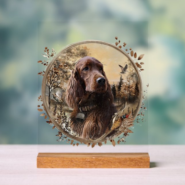 Señal Acrílica  Irish  Setter (Neutral )