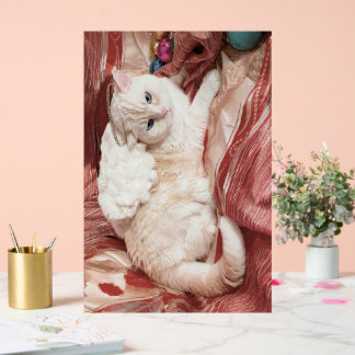 Señal Acrílica Kitty Angel