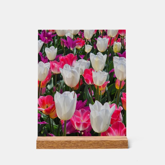 Señal Acrílica La primavera está en flor (Anverso)